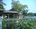 Chinese gardens are found throughout the park