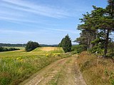 Paysage rural près de Fjerritslev (en), dans le Jutland.