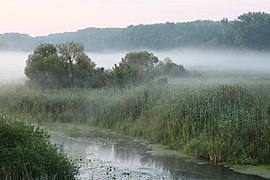 Desna river, feeder of the Southern Bug, at meadow. Ukraine, Vinnytsia Raion Image is also a Featured picture of fog