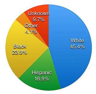 <span class="mw-page-title-main">Judicial aspects of race in the United States</span>