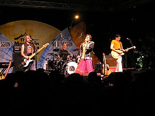 <span class="mw-page-title-main">Hothouse Flowers</span> Irish rock band