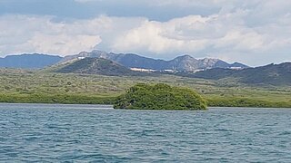 Islote de los Pájaros, formado por manglares