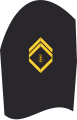 Ärmelabzeichen Dienstanzug Marineuniformträger 20er Verwendungsreihen