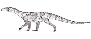 <i>Mambachiton</i> Genus of basal avemetatarsalians