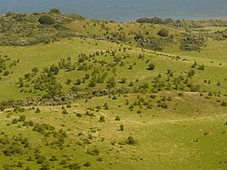 71. Platz: Ökologix mit Impressionen aus dem Nationalpark Vorpommersche Boddenlandschaft