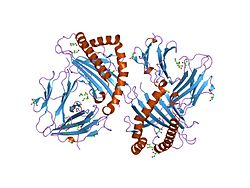 PDB 1tvb EBI.jpg