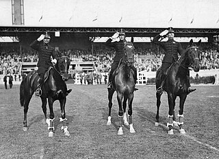 <span class="mw-page-title-main">Equestrian events at the 1928 Summer Olympics</span> Equestrian at the Olympics