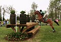 A Thoroughbred competing in eventing.