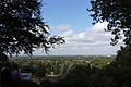 View from King Henry's Mound, Richmond Park