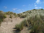 Dünen in Koksijde