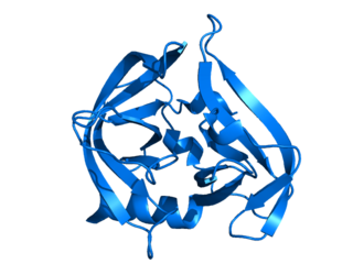 <span class="mw-page-title-main">Picornain 3C</span>