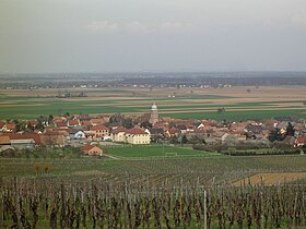 Bergholtz