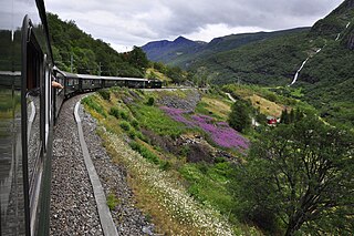 <span class="mw-page-title-main">Flåm Line</span> Railway line in Aurland, Norway