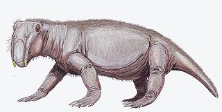 <span class="mw-page-title-main">Lystrosauridae</span> Extinct family of dicynodonts