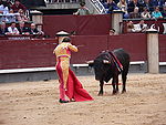 Matador