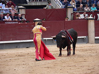 <span class="mw-page-title-main">Bullfighting</span> Physical contest involving a bullfighter and a bull