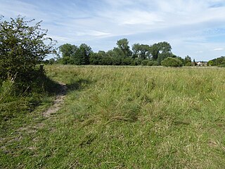 <span class="mw-page-title-main">Pakenham Meadows</span>