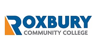 <span class="mw-page-title-main">Roxbury Community College</span> Public community college in Boston, Massachusetts