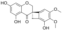 Chemical structure of scillavone A