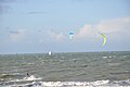 Kitesurfeurs en bord de mer