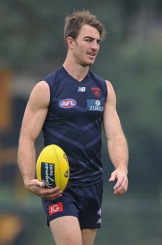 <span class="mw-page-title-main">Tim Smith (Australian footballer)</span> Australian rules footballer