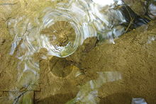 A small whirlpool in Tionesta Creek in the Allegheny National Forest