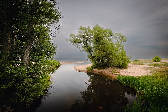 Haväng och Vitemölla strandbackar. Photograph: Håkan Algotsson