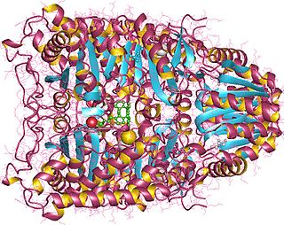 <span class="mw-page-title-main">3-methyl-2-oxobutanoate dehydrogenase</span> Class of enzymes