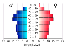 Bevolkingspiramide van de gemeente Bergeijk