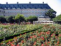 Rosengarten "Neue Residenz" in Bamberg