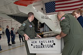 Coast Guard Air Station Cape Cod transports endangered sea turtles 160127-G-SI450-051.jpg