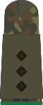Hauptmann (Mechanized infantry)