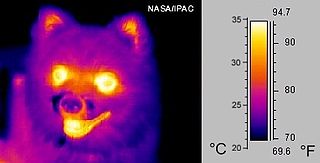 <span class="mw-page-title-main">Thermographic camera</span> Imaging device using infrared radiation