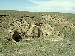 <span class="mw-page-title-main">Laramie Formation</span> Geological formation in Colorado, US