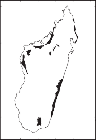 <span class="mw-page-title-main">Madagascar flood basalt</span>