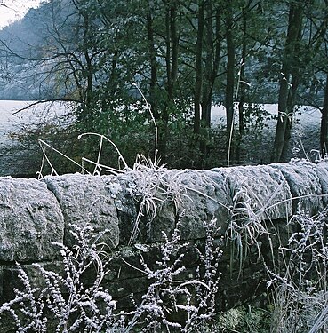 Boundary wall at Midgehole, Hardcastle Crags, Hebden Bridge, Yorkshire