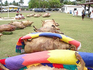 <span class="mw-page-title-main">Katoaga</span> French traditional celebration