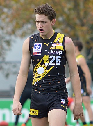 <span class="mw-page-title-main">Riley Collier-Dawkins</span> Professional Australian rules footballer