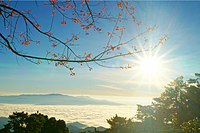 Huai Nam Dang nemzeti park, Chiang mai