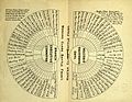 Class battle fronts diagram, 1917