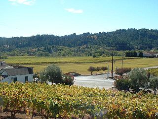 <span class="mw-page-title-main">Sonoma County wine</span> Wine made in Sonoma County, California