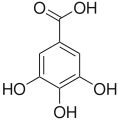 Acidul galic, se formează pe calea acidului shikimic.