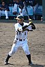 Shibata with the Hanshin Tigers