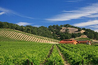 <span class="mw-page-title-main">Paso Robles AVA</span> Appelation that designates wine in San Luis Obispo County, California