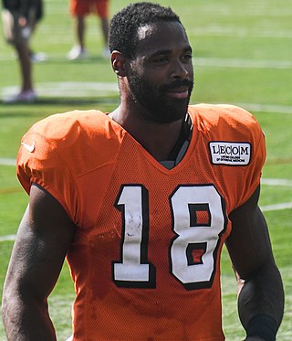 <span class="mw-page-title-main">Kenny Britt</span> American football player (born 1988)