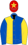 Royal blue and yellow (halved), sleeves reversed, red cap, yellow star