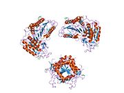 PDB 1f9e EBI.jpg