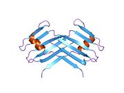 PDB 1mby EBI.jpg