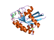 2cl7: CRYSTAL STRUCTURE ANALYSIS OF A FLUORESCENT FORM OF H-RAS P21 IN COMPLEX WITH GTP