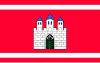 Flag of Strzelce Krajeńskie